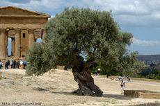 Sizilien (179 von 565).jpg